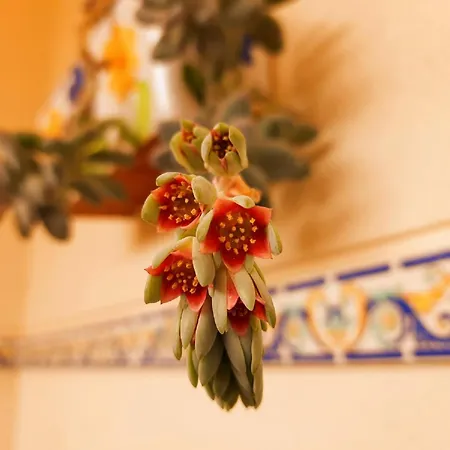Apartment Dunas Javea